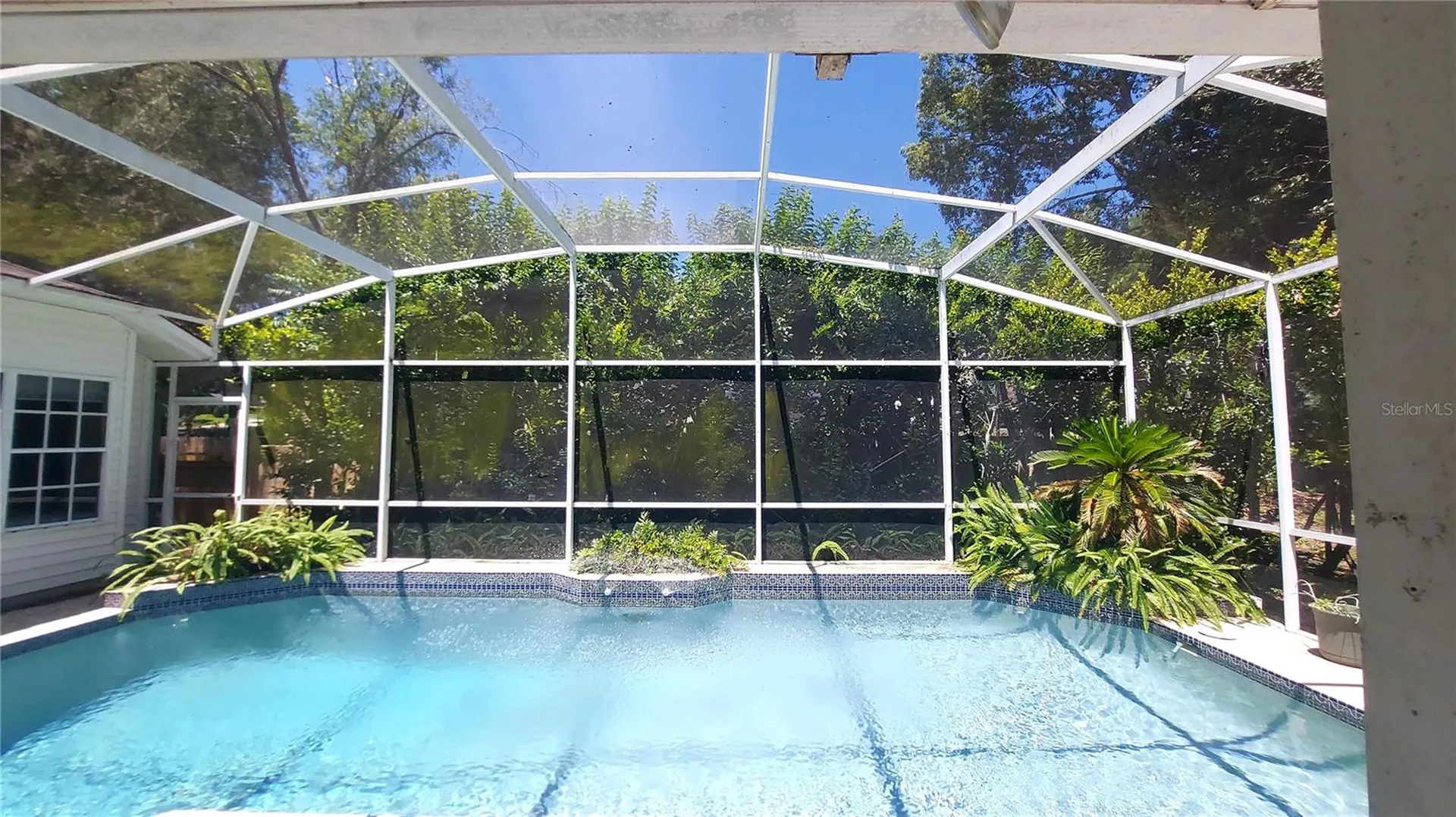 7316 Chesterhill Circle Mount Dora FL 32757