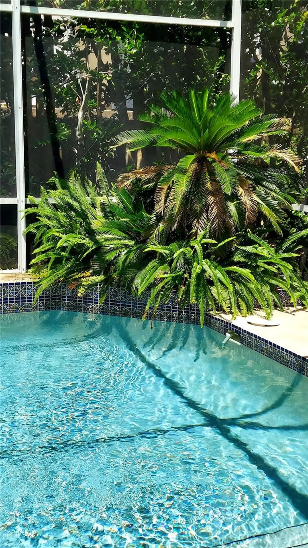 7316 Chesterhill Circle Mount Dora FL 32757
