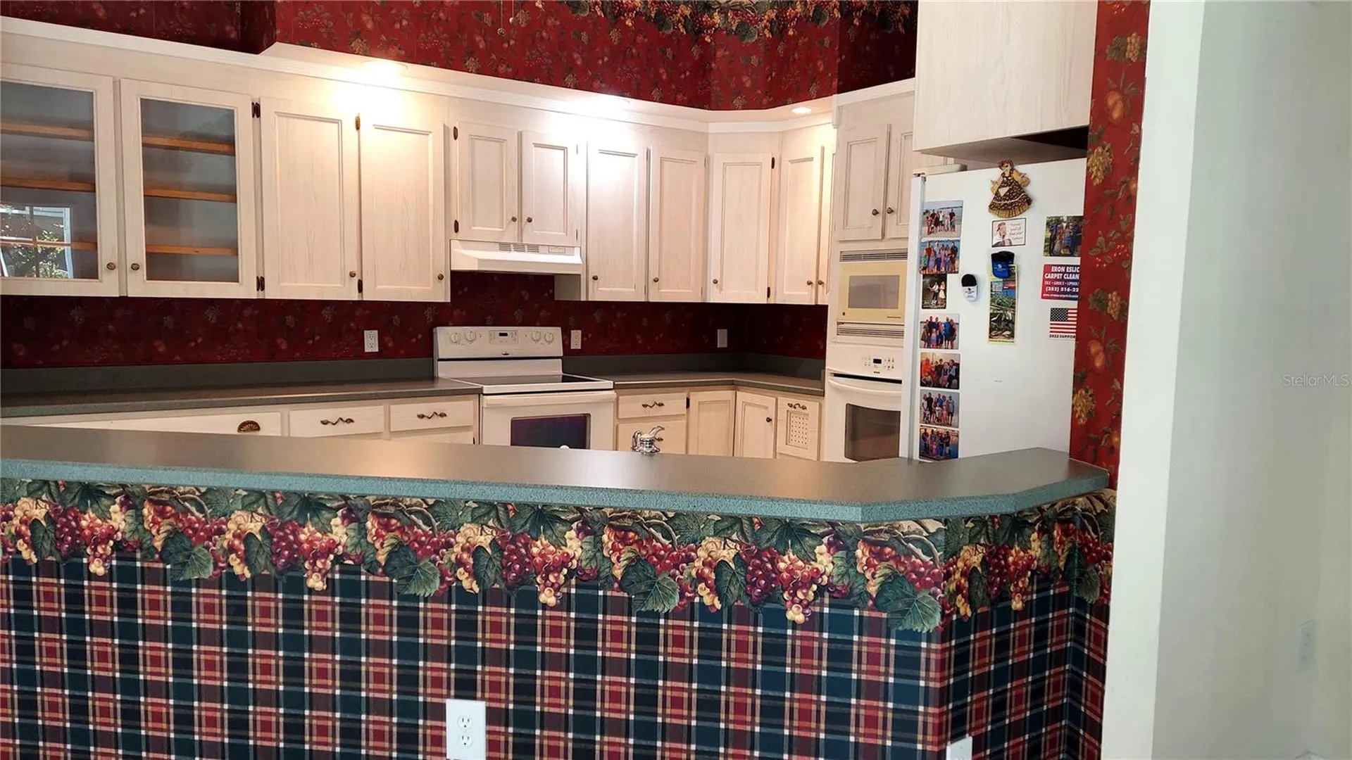 7316 Chesterhill Circle Mount Dora FL 32757