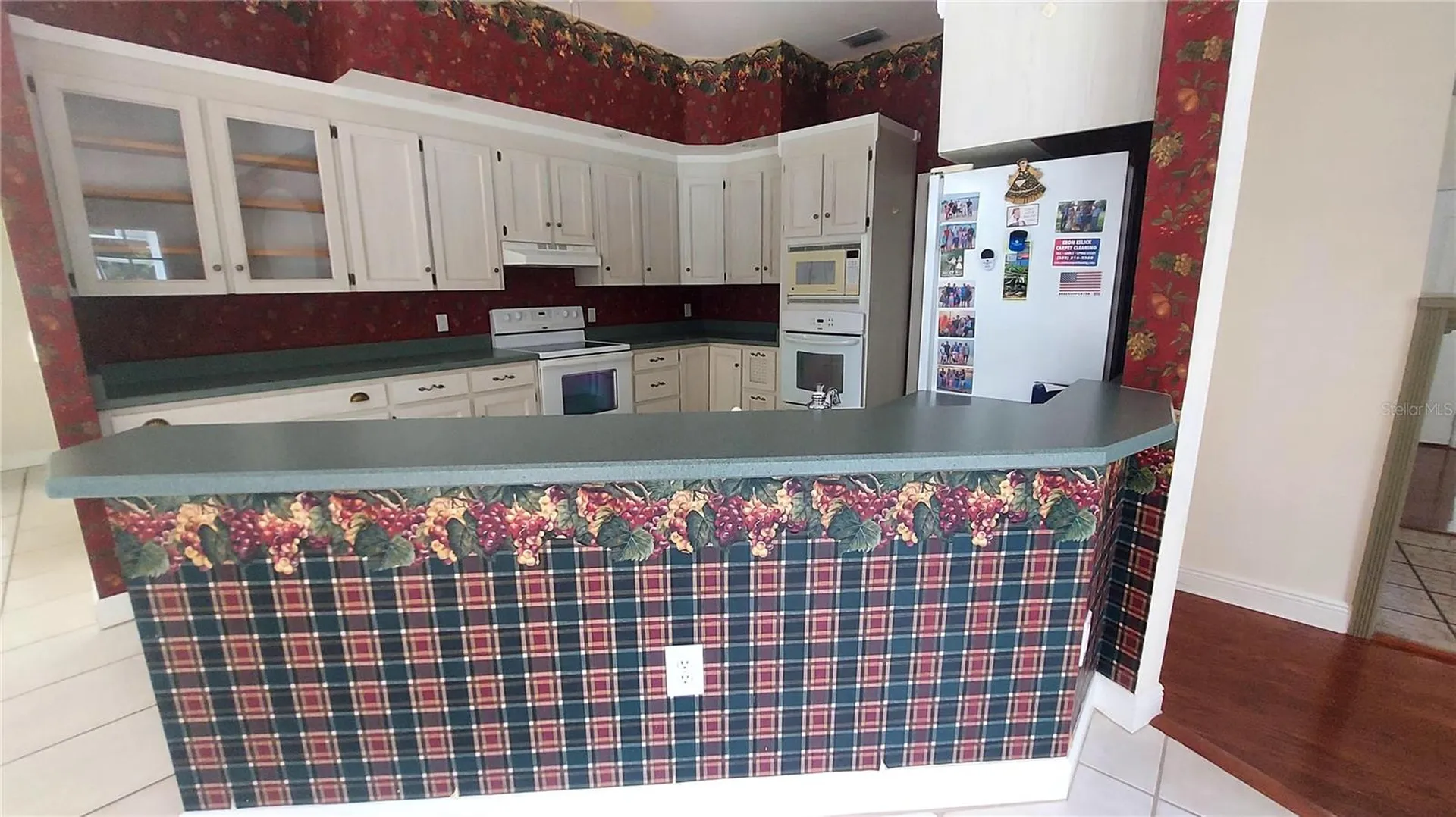 7316 Chesterhill Circle Mount Dora FL 32757
