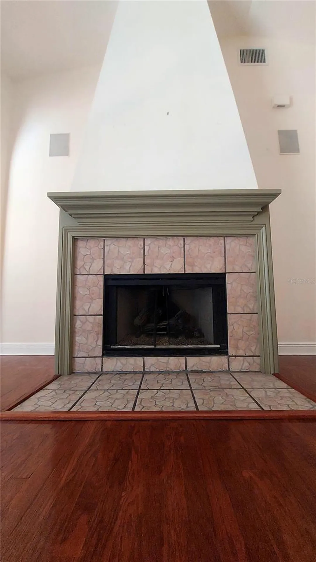 7316 Chesterhill Circle Mount Dora FL 32757