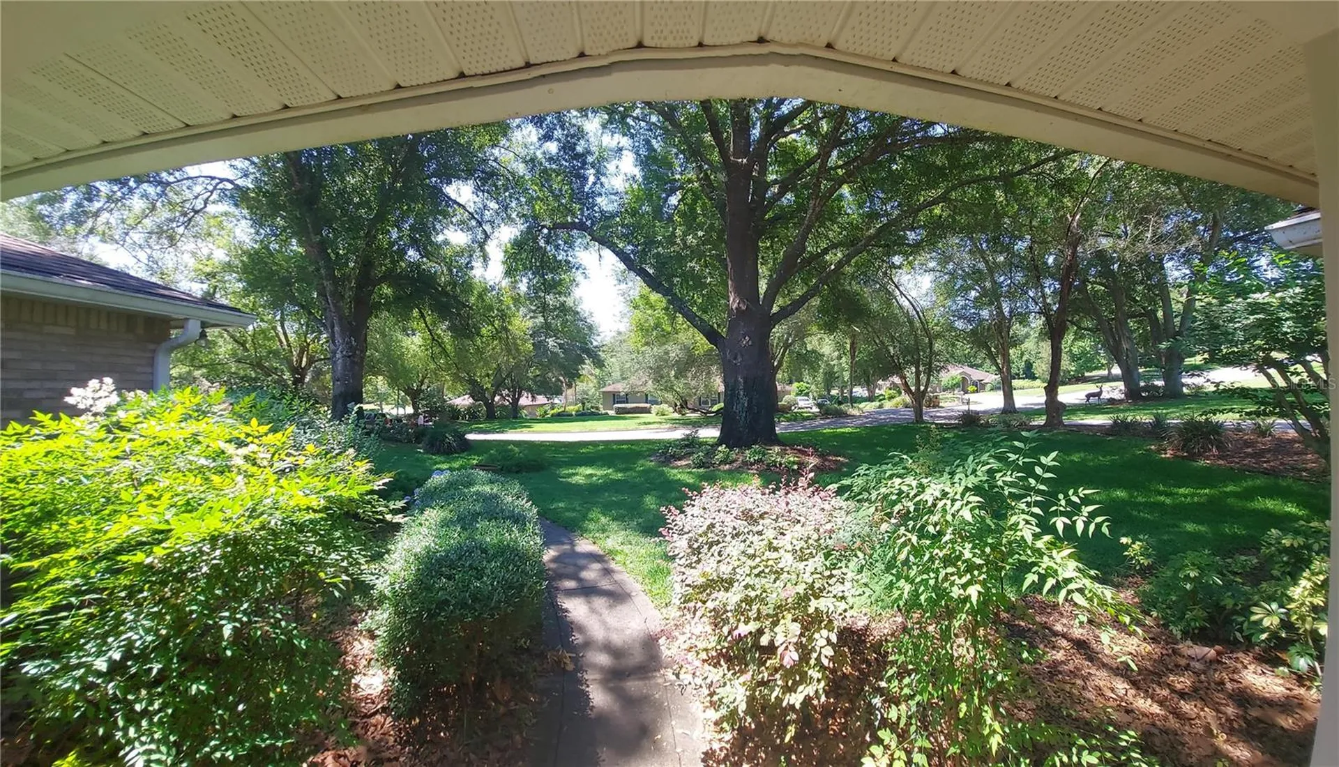7316 Chesterhill Circle Mount Dora FL 32757