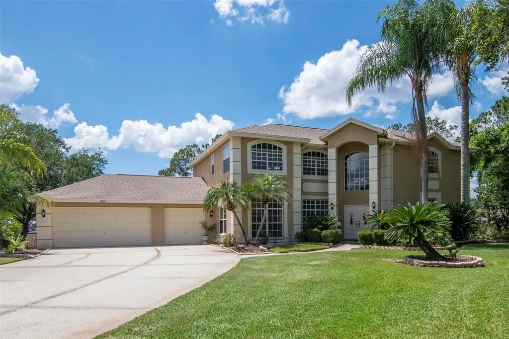 18511 Bittern Avenue Lutz FL 33558