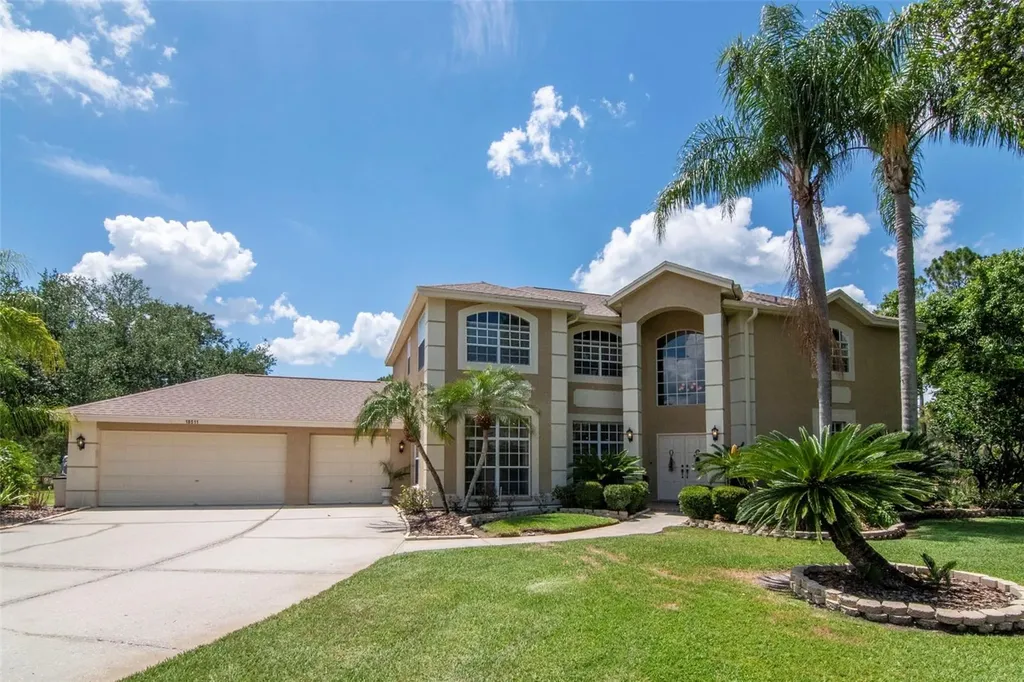 18511 Bittern Avenue Lutz FL 33558