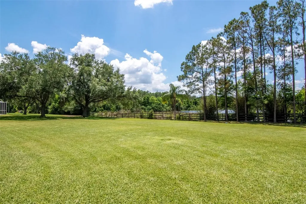 18511 Bittern Avenue Lutz FL 33558