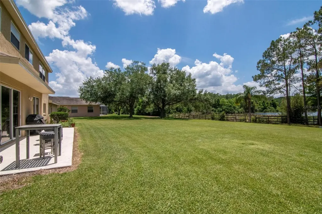 18511 Bittern Avenue Lutz FL 33558
