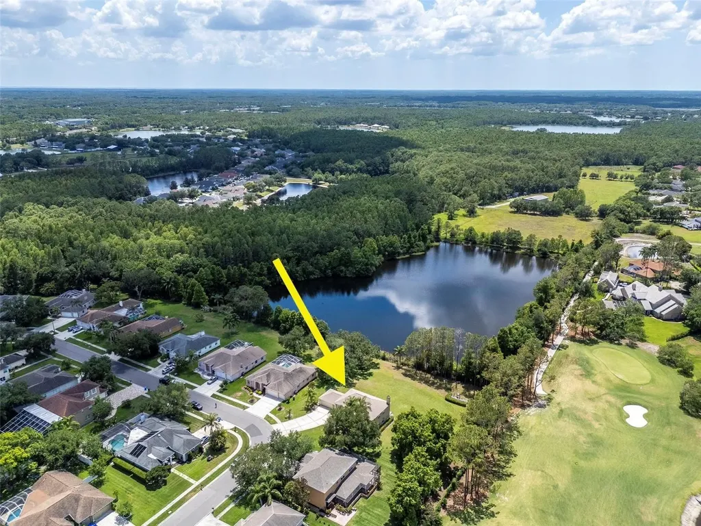 18511 Bittern Avenue Lutz FL 33558