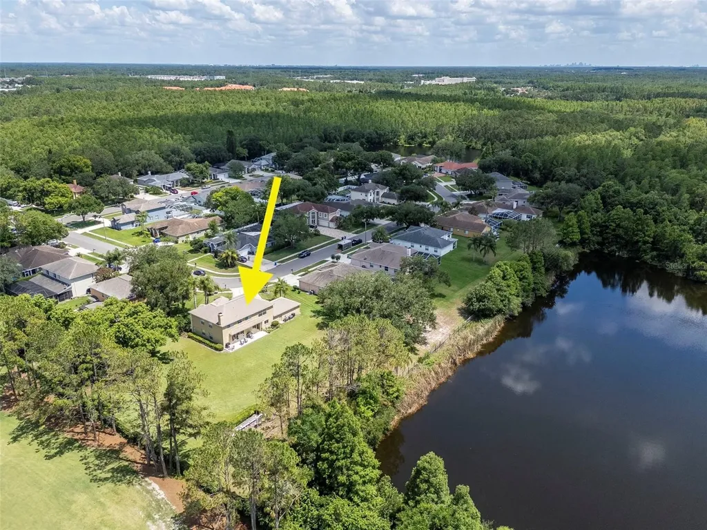 18511 Bittern Avenue Lutz FL 33558