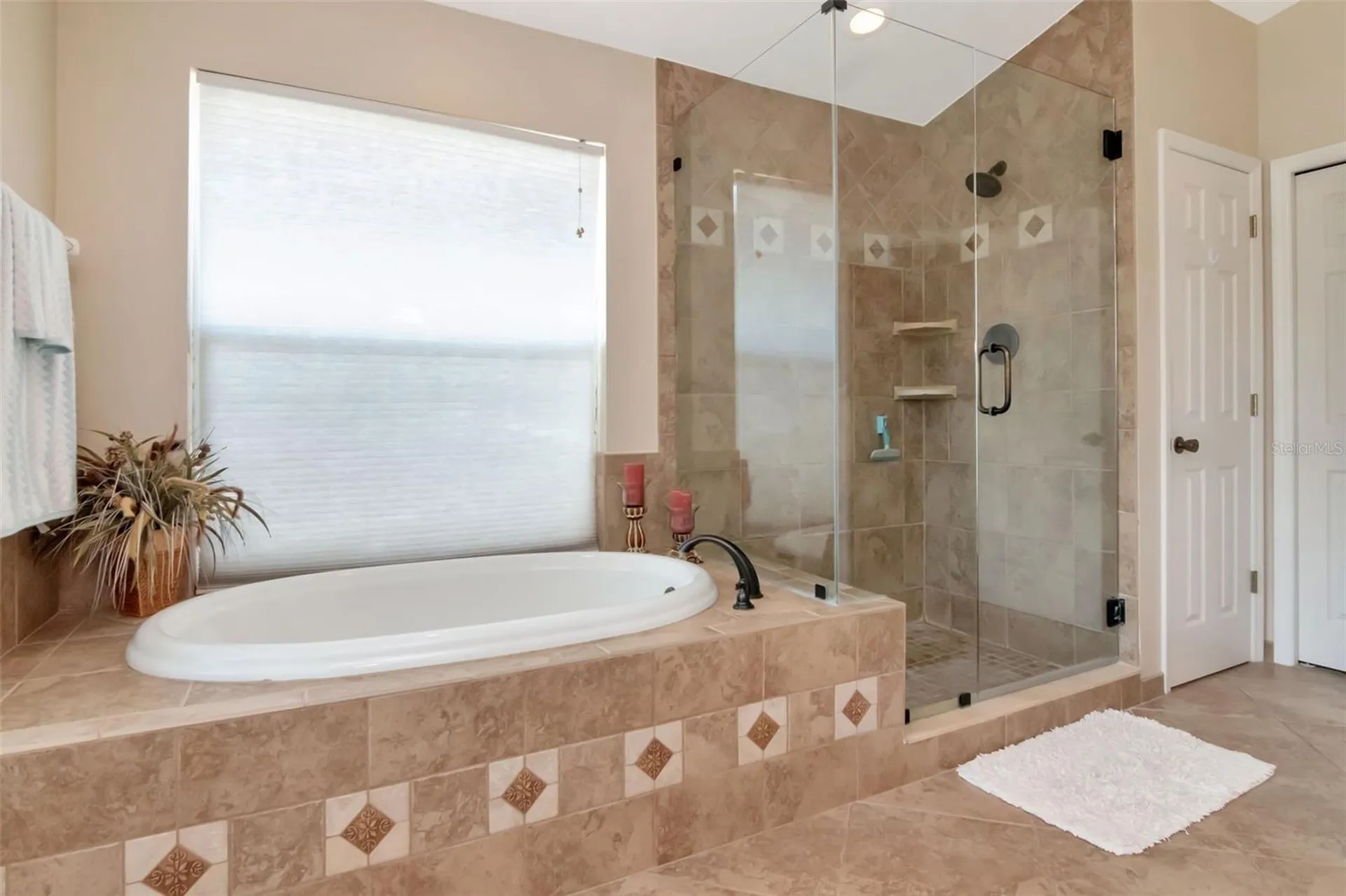 18511 Bittern Avenue Lutz FL 33558
