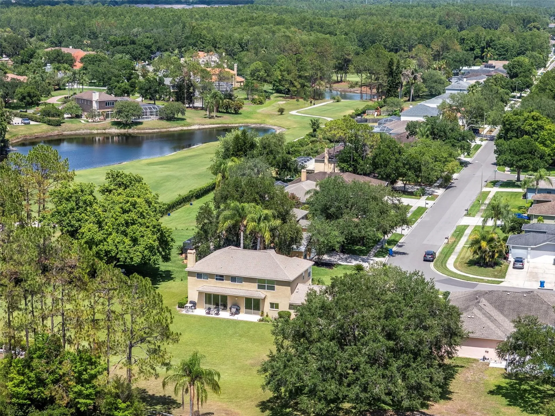 18511 Bittern Avenue Lutz FL 33558