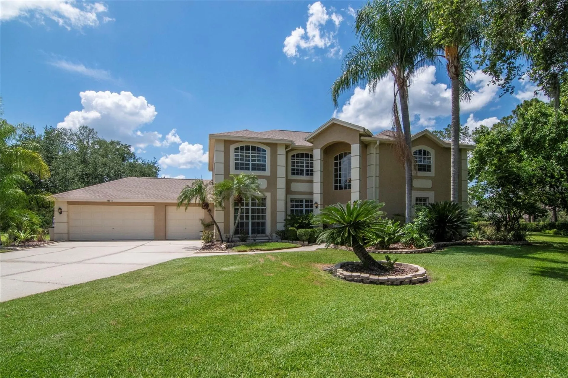 18511 Bittern Avenue Lutz FL 33558
