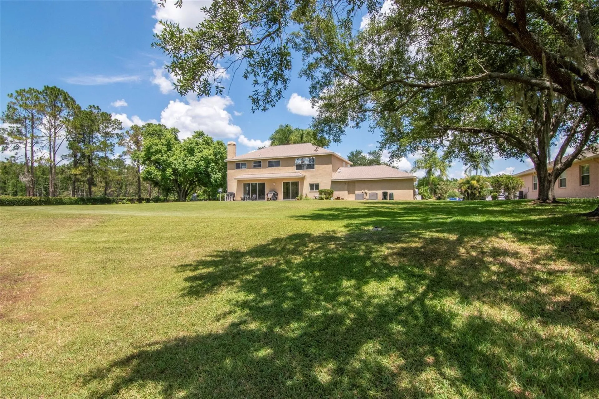 18511 Bittern Avenue Lutz FL 33558
