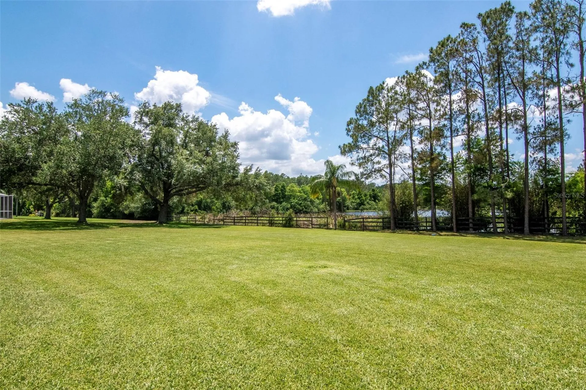 18511 Bittern Avenue Lutz FL 33558