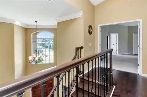 18511 Bittern Avenue Lutz FL 33558