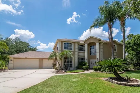 18511 Bittern Avenue Lutz FL 33558