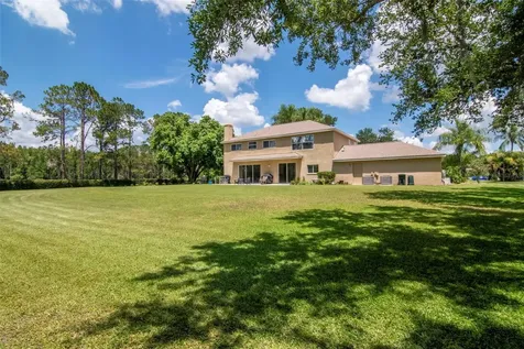 18511 Bittern Avenue Lutz FL 33558