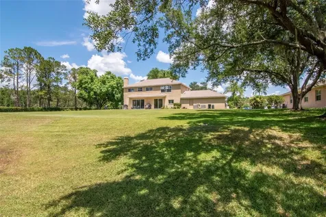 18511 Bittern Avenue Lutz FL 33558