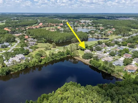 18511 Bittern Avenue Lutz FL 33558