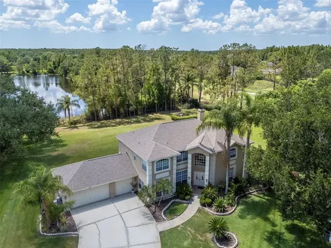 18511 Bittern Avenue Lutz FL 33558