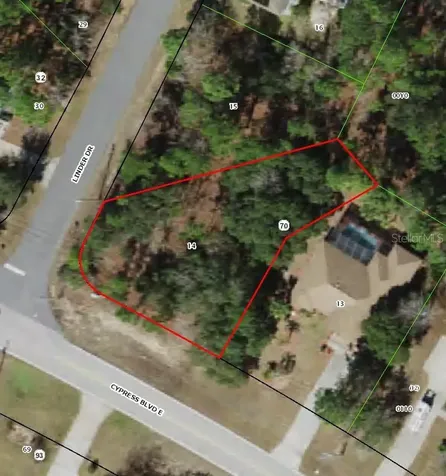 228 Linder Drive Homosassa FL 34446