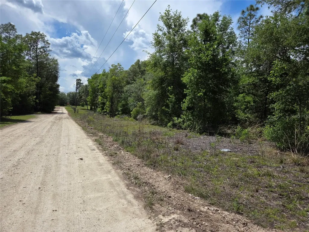 0000 NE 73rd Lane Bronson FL 32621