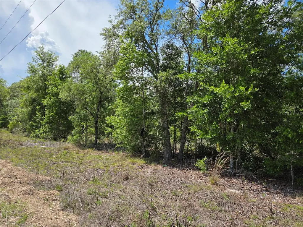 0000 NE 73rd Lane Bronson FL 32621