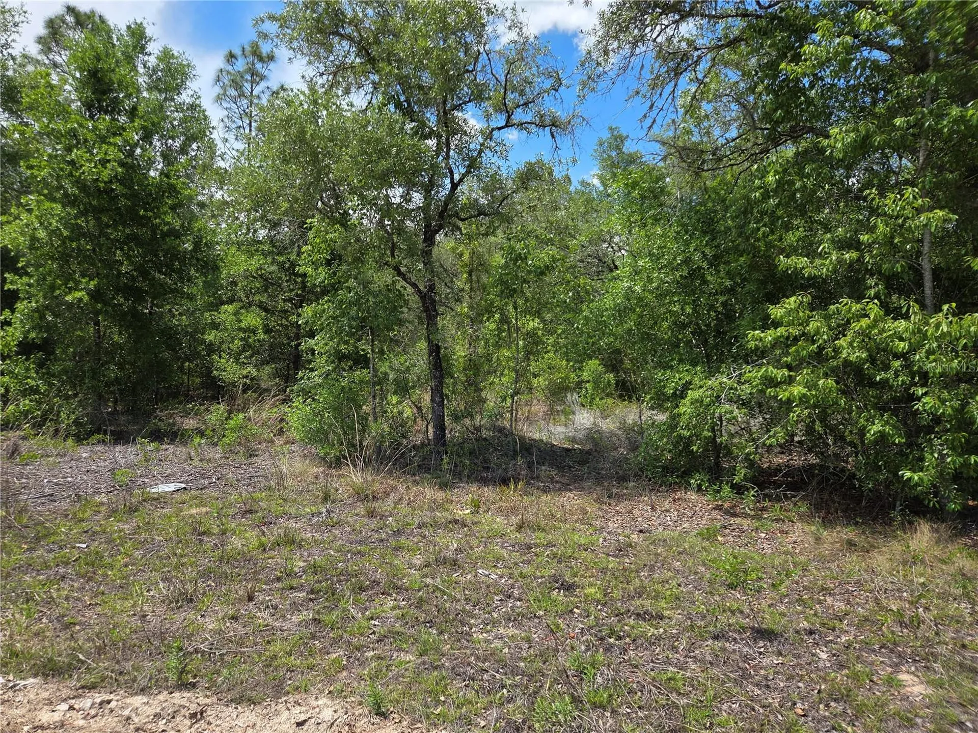 0000 NE 73rd Lane Bronson FL 32621