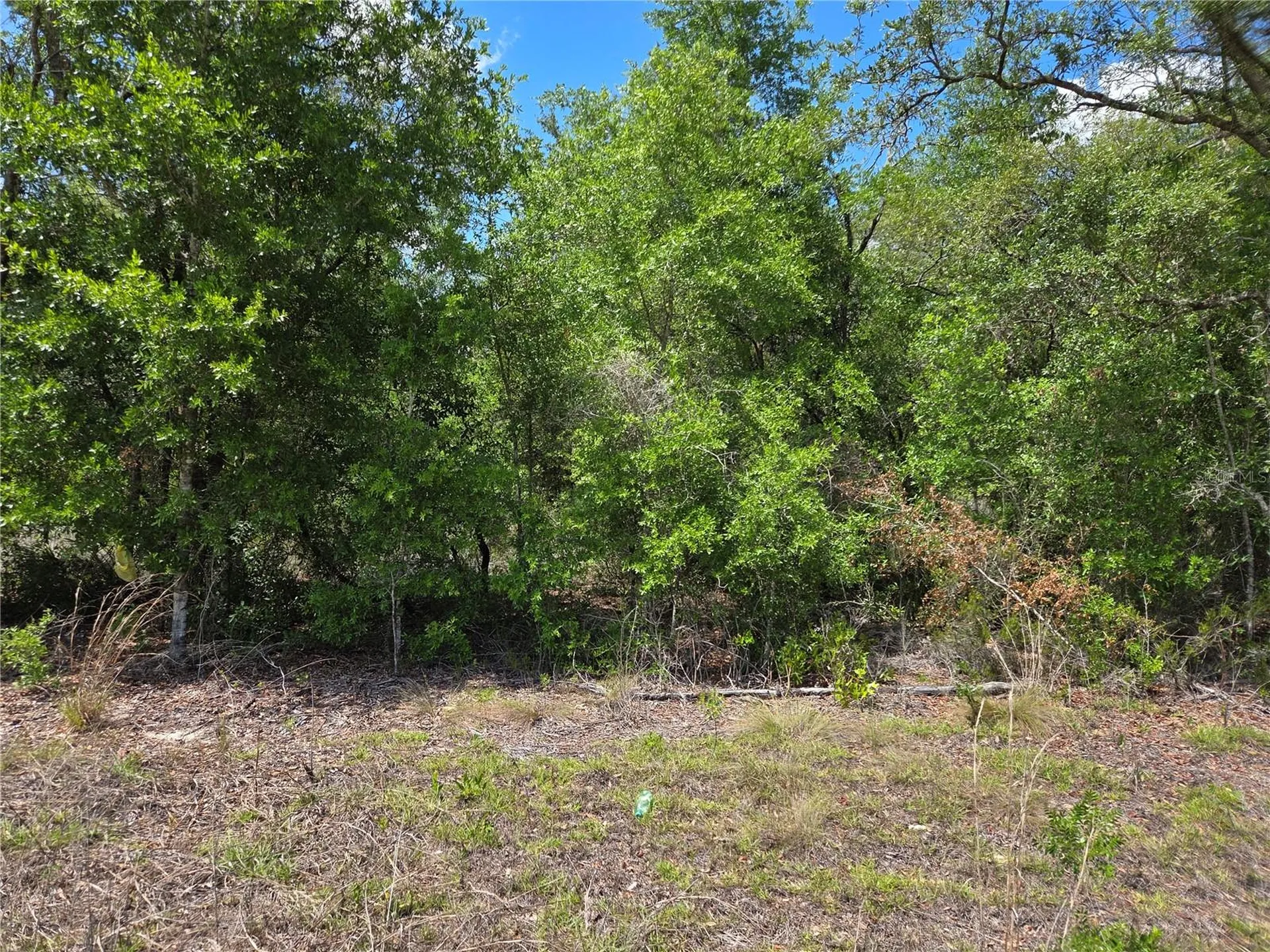 0000 NE 73rd Lane Bronson FL 32621