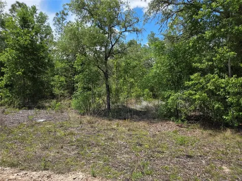 0000 NE 73rd Lane Bronson FL 32621