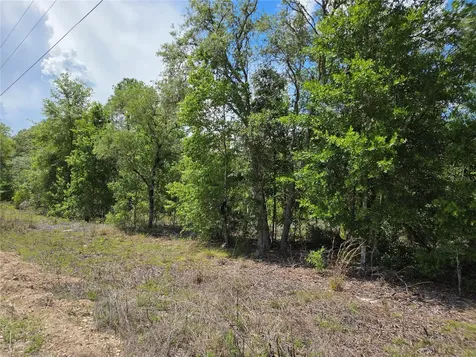 0000 NE 73rd Lane Bronson FL 32621