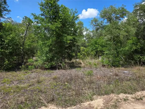 0000 NE 73rd Lane Bronson FL 32621