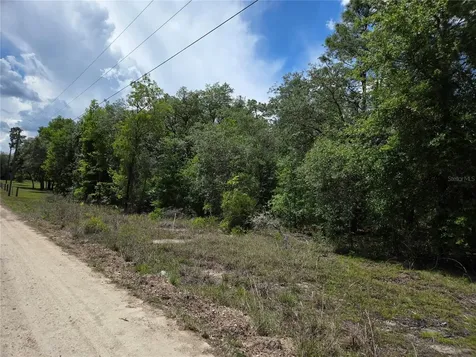 0000 NE 73rd Lane Bronson FL 32621