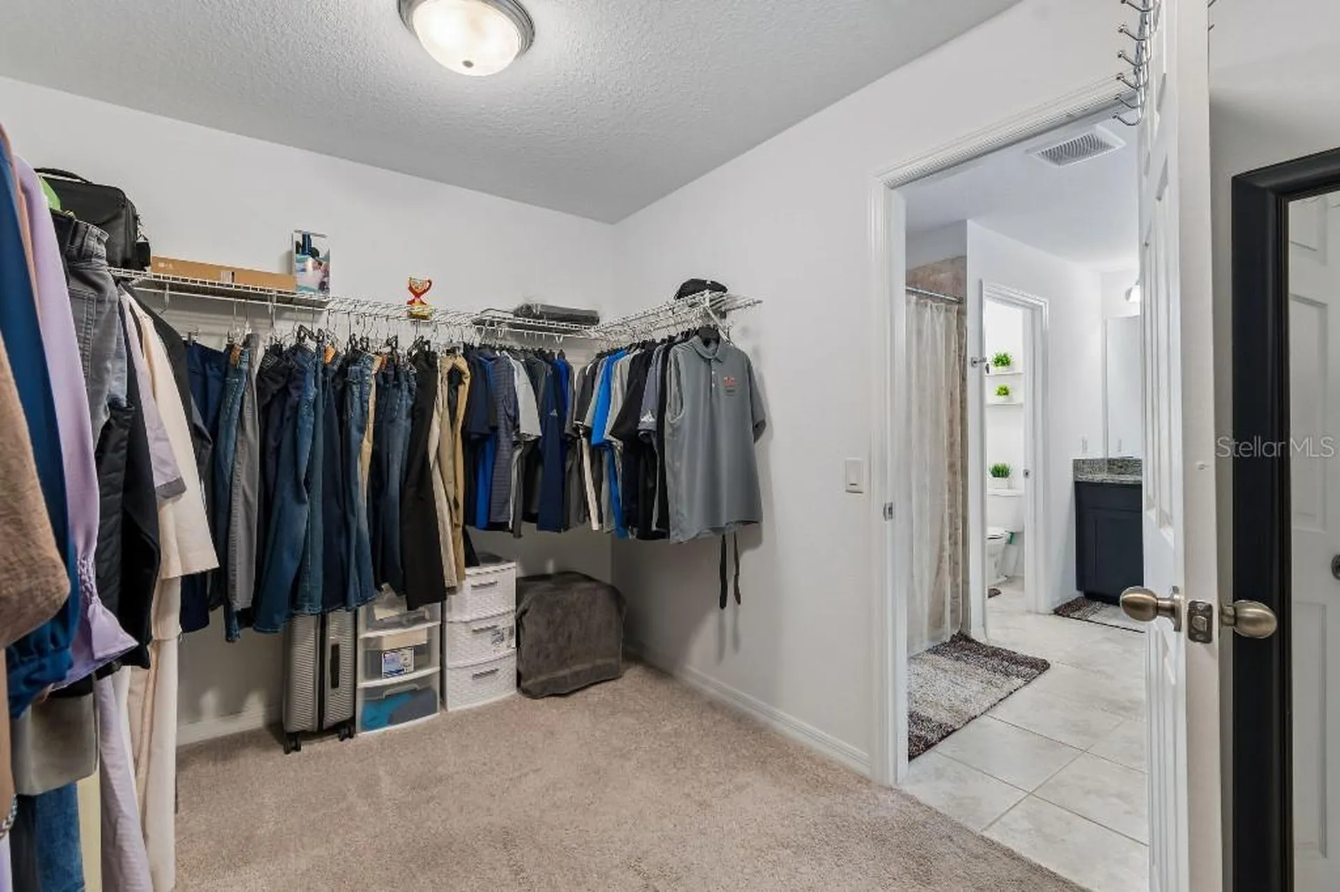 16011 Sonoma Grove Circle Tampa FL 33647