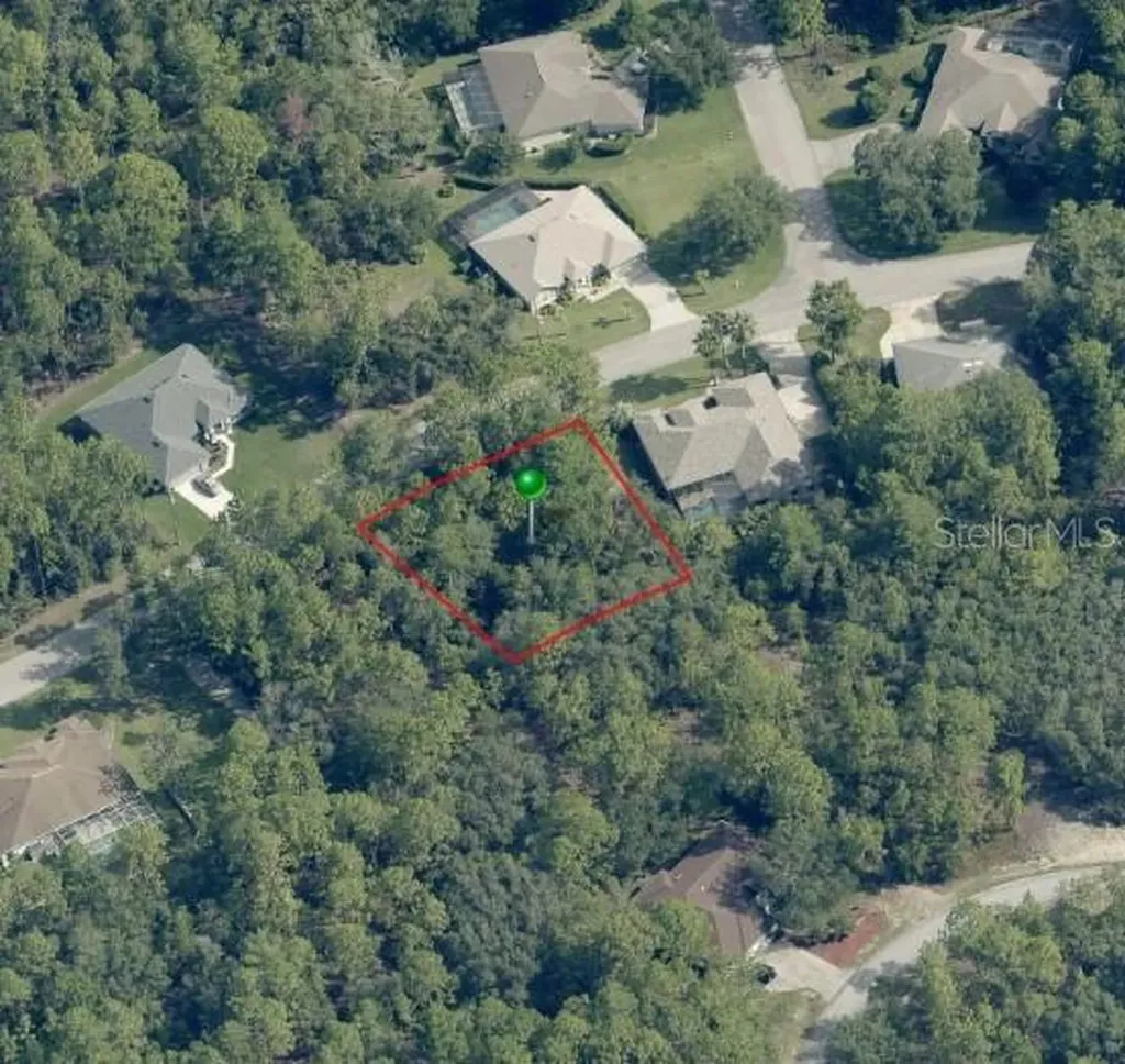 29 Saintpaulia Street Homosassa FL 34446