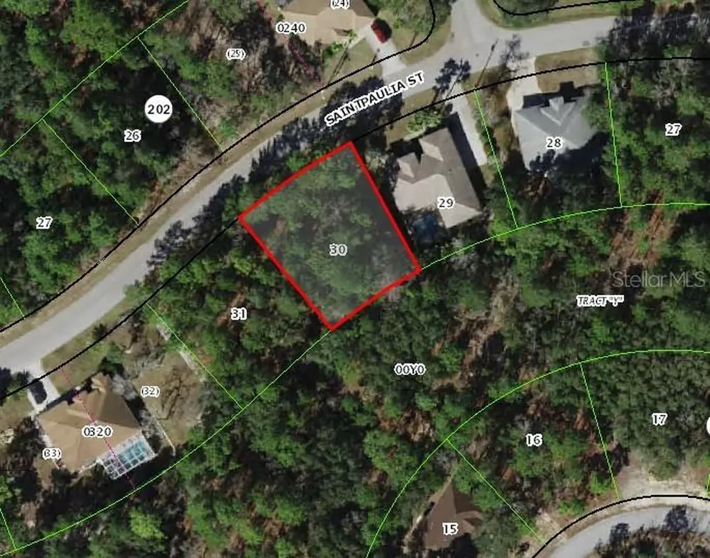 29 Saintpaulia Street Homosassa FL 34446