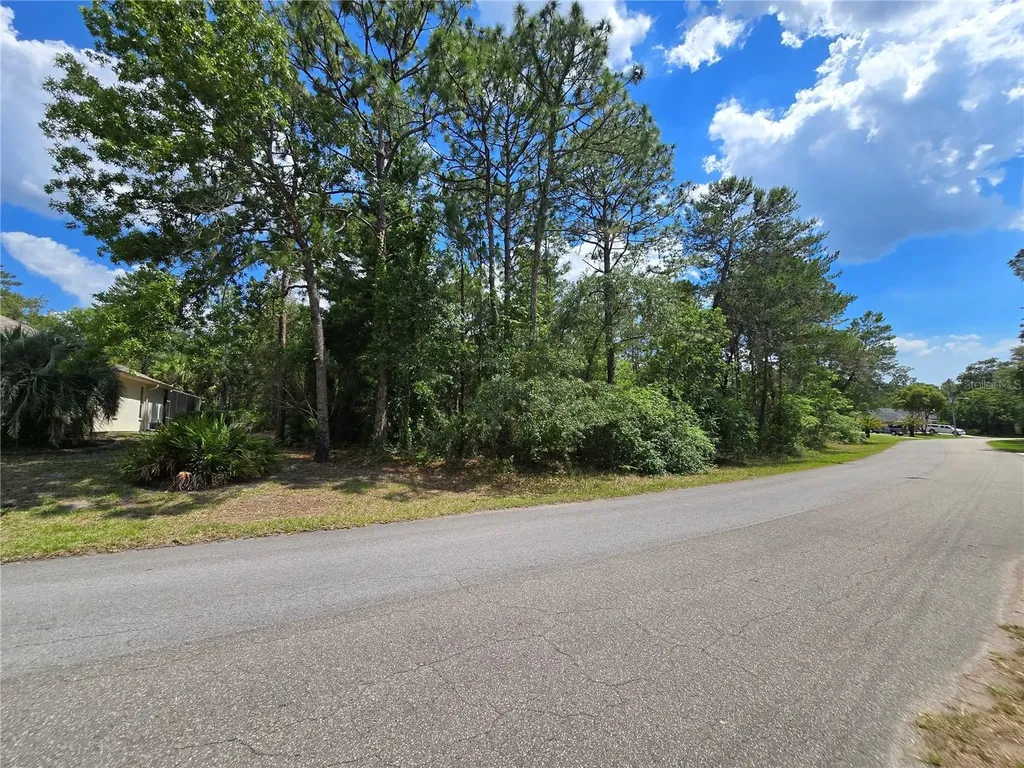 29 Saintpaulia Street Homosassa FL 34446