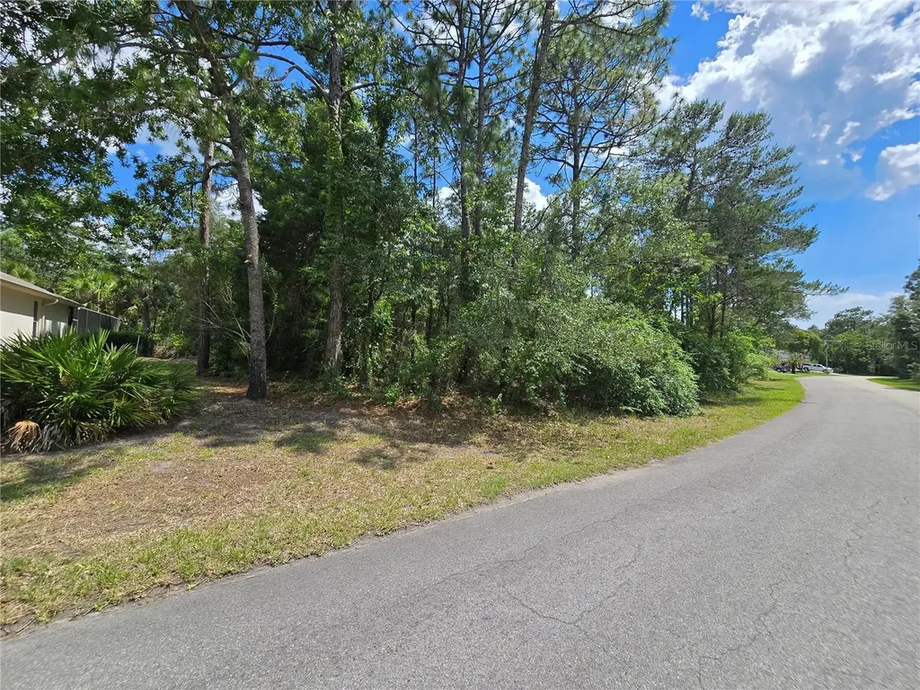 29 Saintpaulia Street Homosassa FL 34446