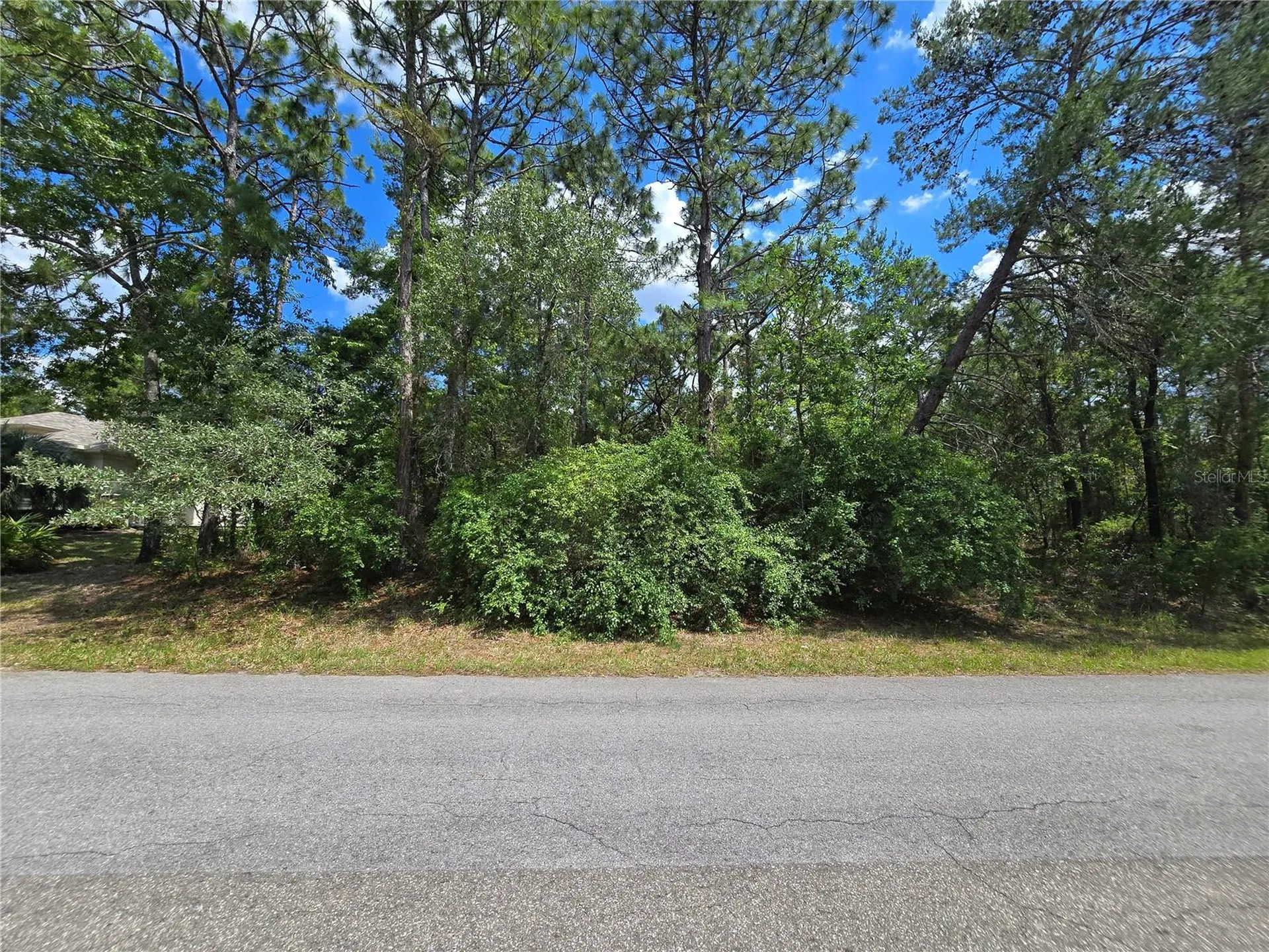 29 Saintpaulia Street Homosassa FL 34446