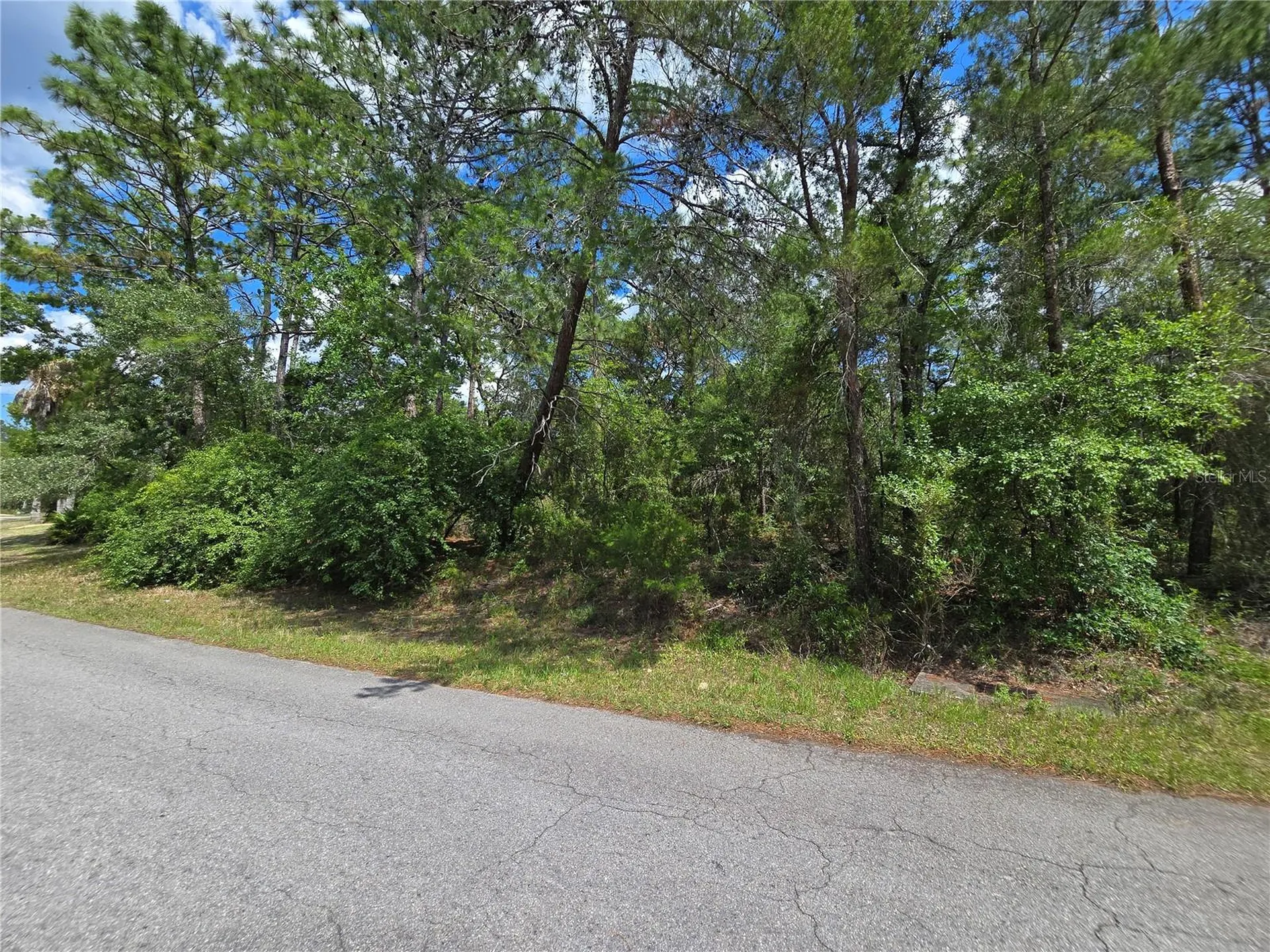 29 Saintpaulia Street Homosassa FL 34446