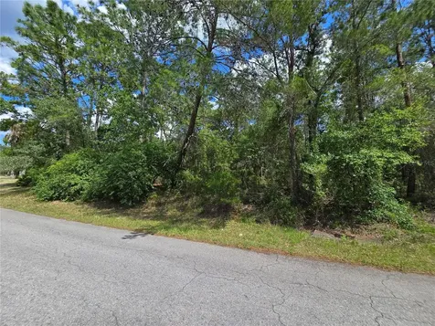 29 Saintpaulia Street Homosassa FL 34446