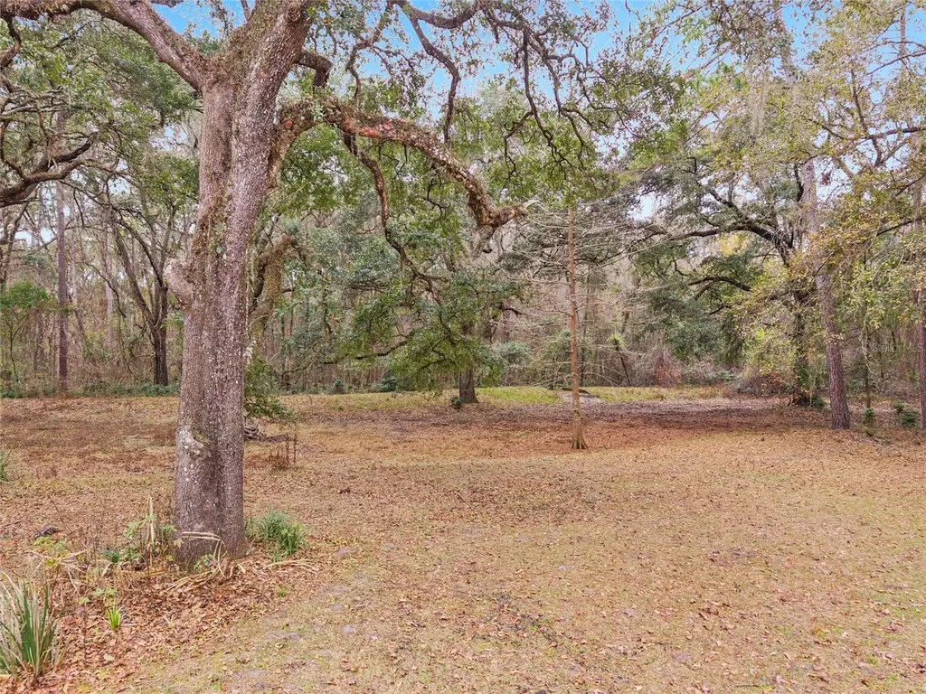 11121 NW 15th Place Gainesville FL 32606