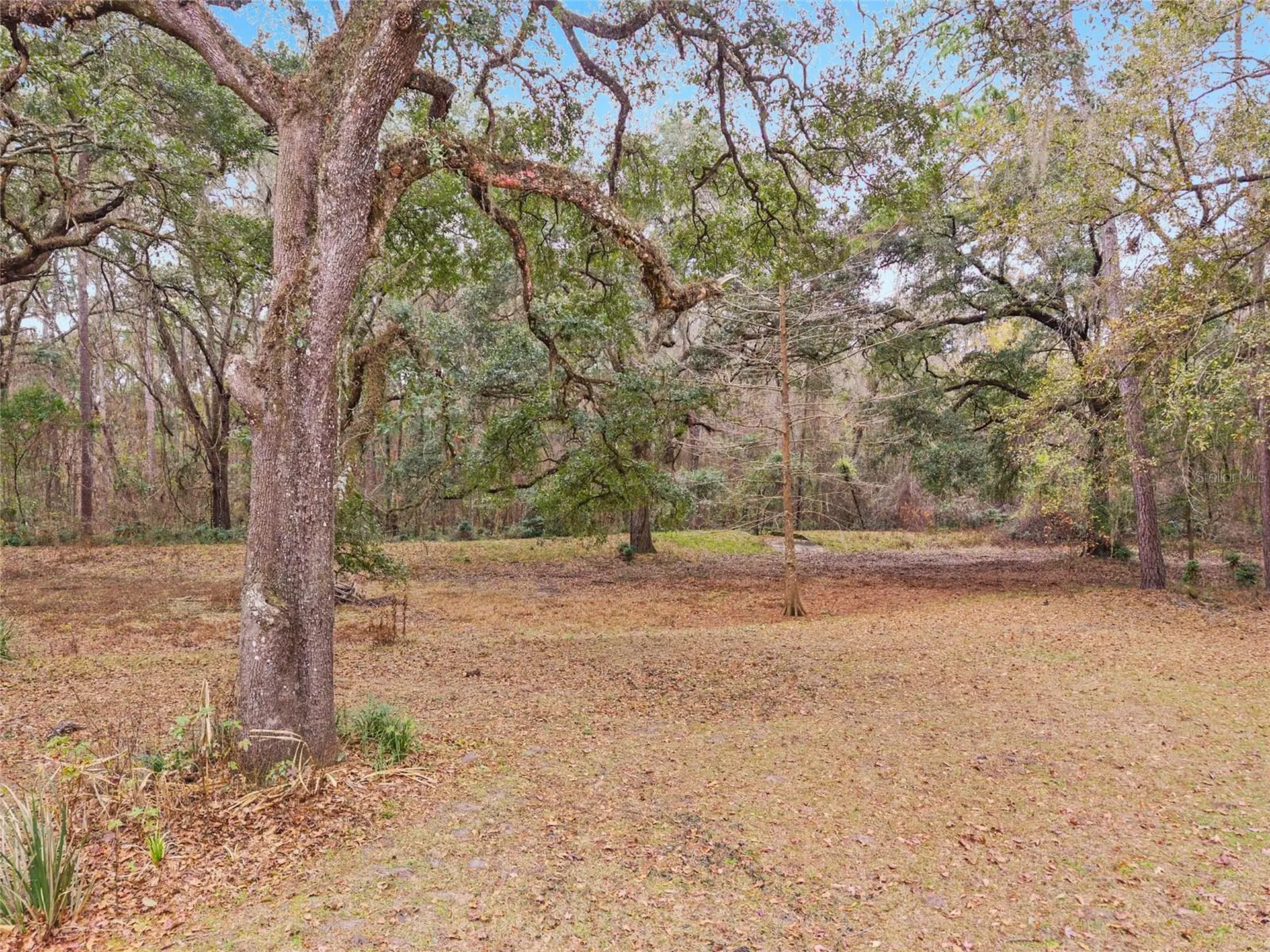 11121 NW 15th Place Gainesville FL 32606