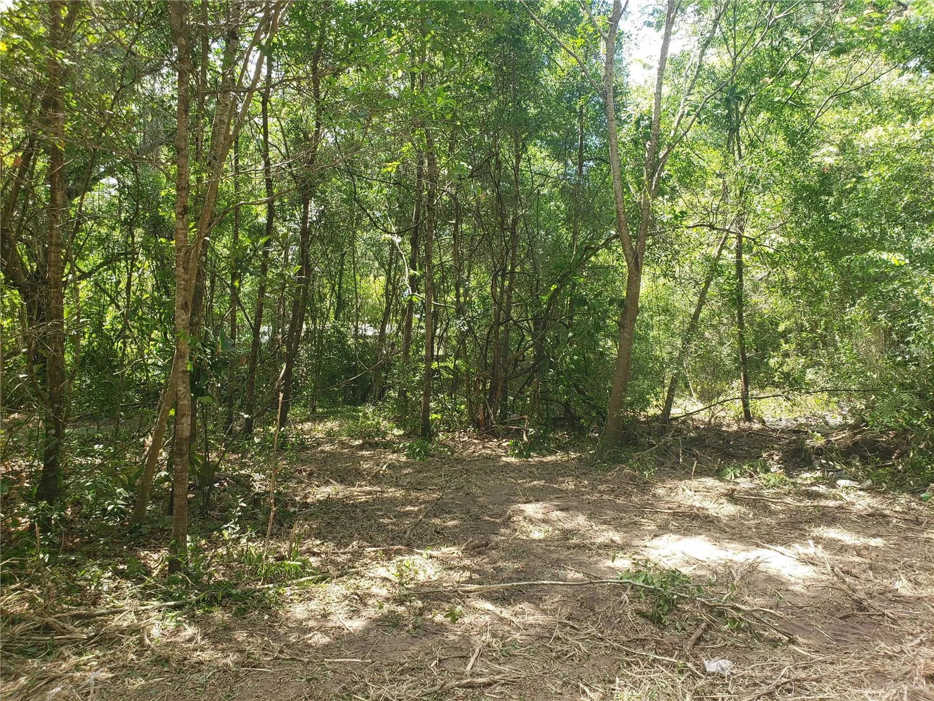 5601 NW 71st Street Ocala FL 34482