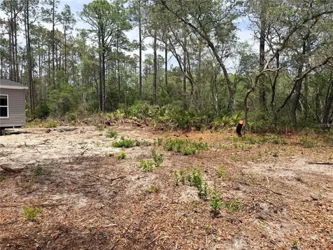 205 Hudson Street Interlachen FL 32148