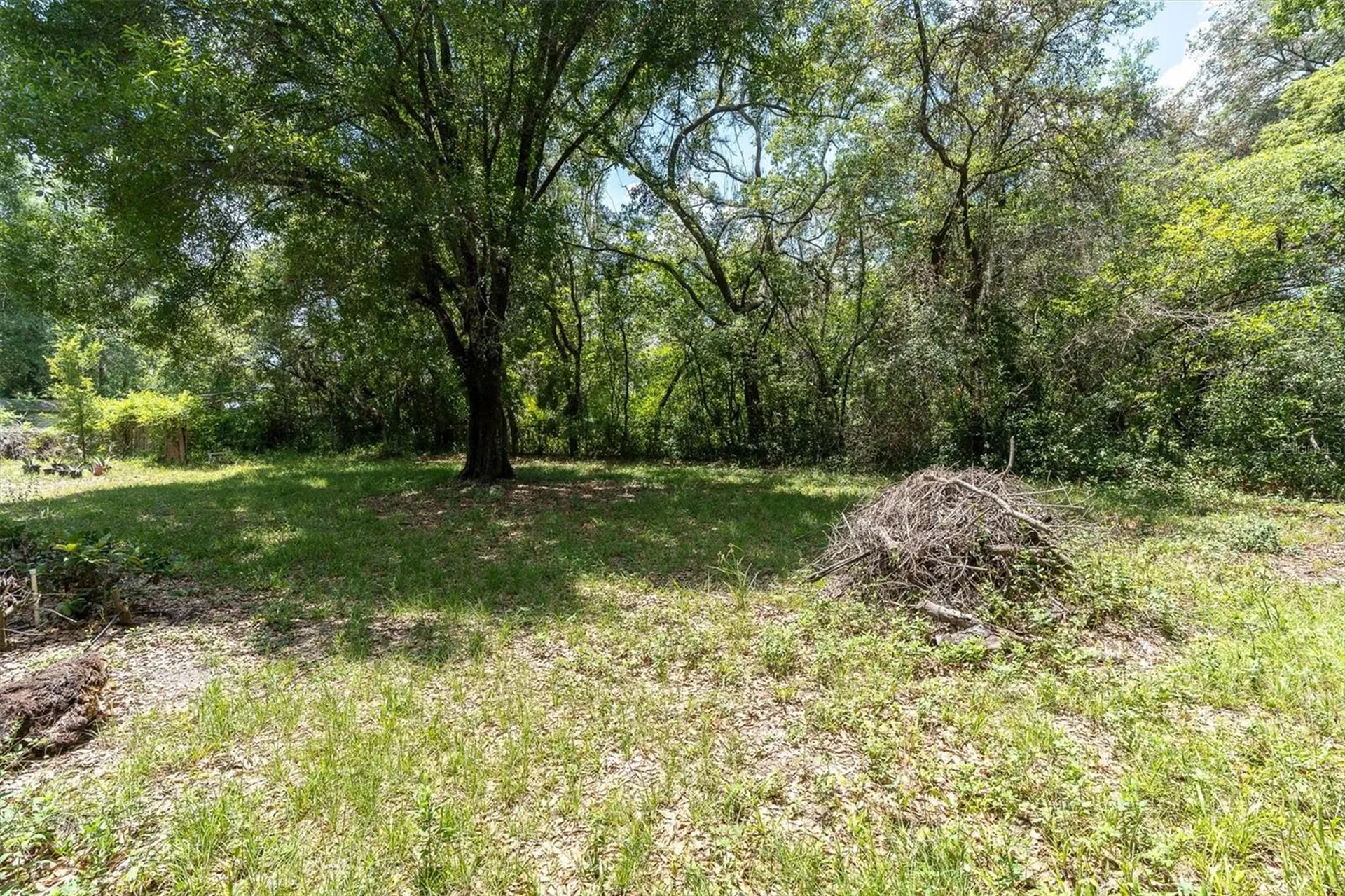 10422 N Woodmere Road Tampa FL 33617