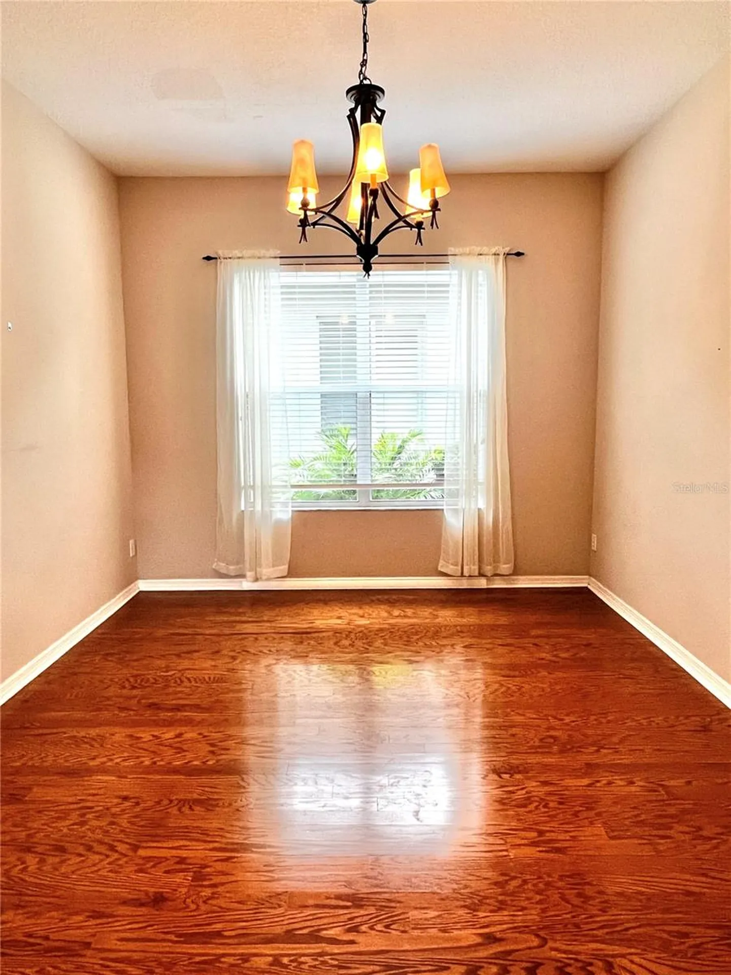 9524 Greenpointe Drive Tampa FL 33626