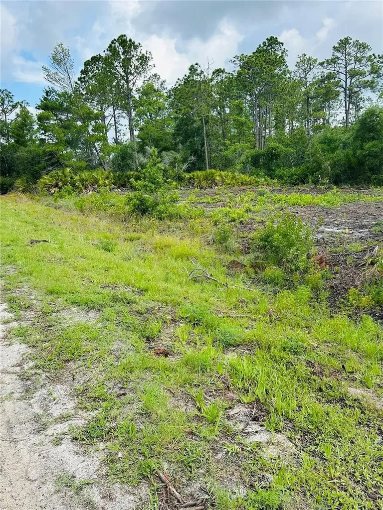 2873 Laurel Road Deland FL 32724