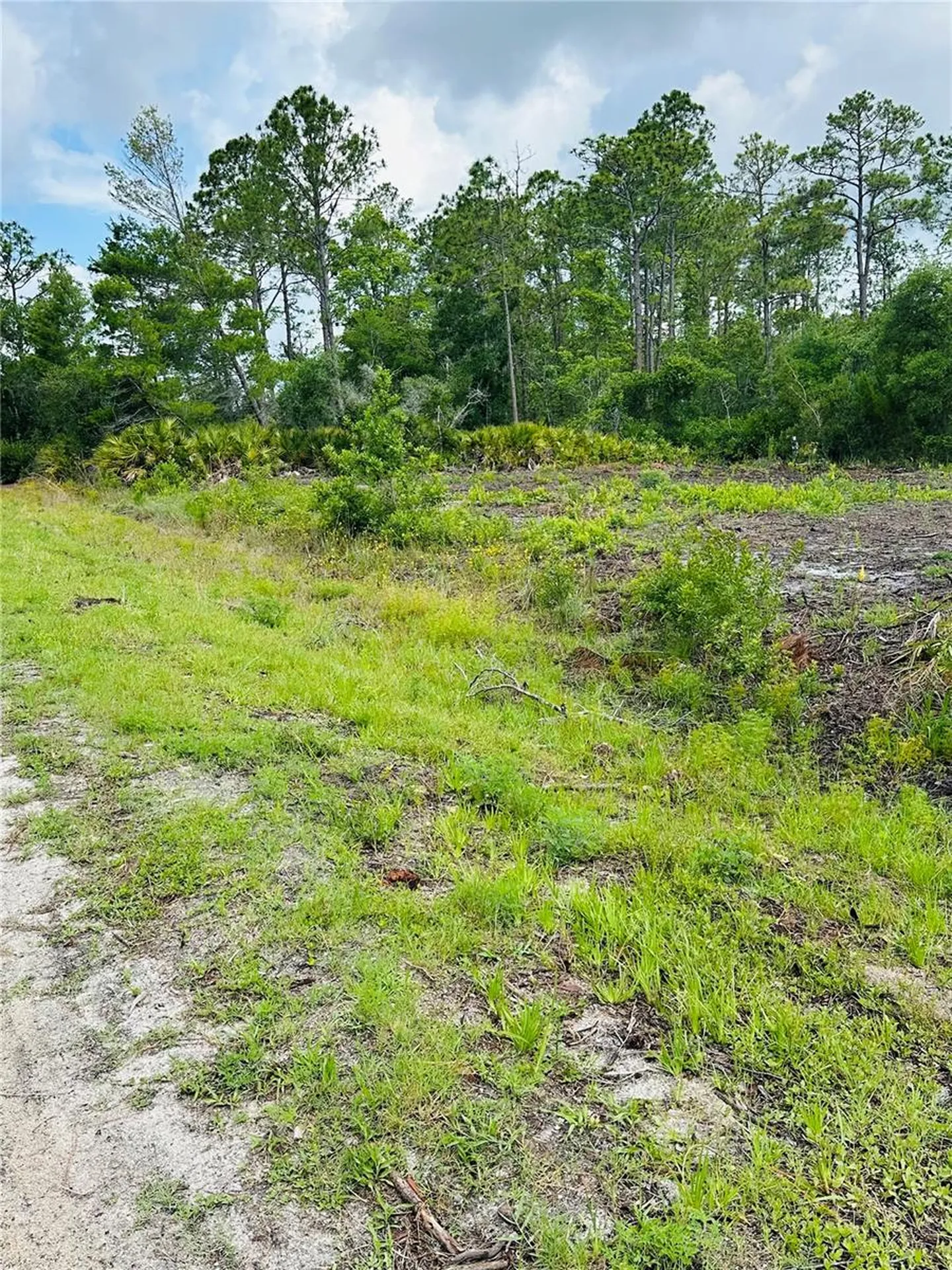 2873 Laurel Road Deland FL 32724
