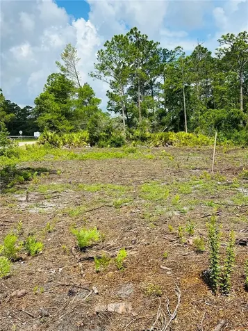 2873 Laurel Road Deland FL 32724