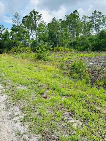 2873 Laurel Road Deland FL 32724